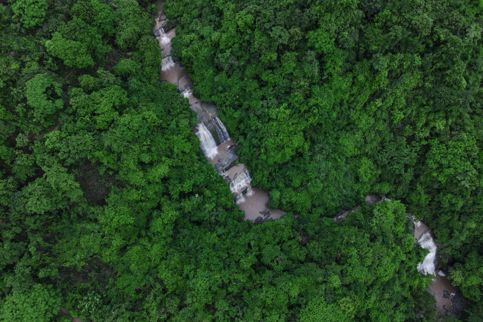 Pemandangan udara yang menakjubkan menampilkan hutan hijau lebat dengan air terjun yang meng cascading.