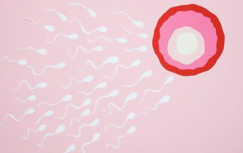 Representasi artistik sel sperma yang berenang menuju sel telur di latar belakang merah muda, menggambarkan fertilisasi.